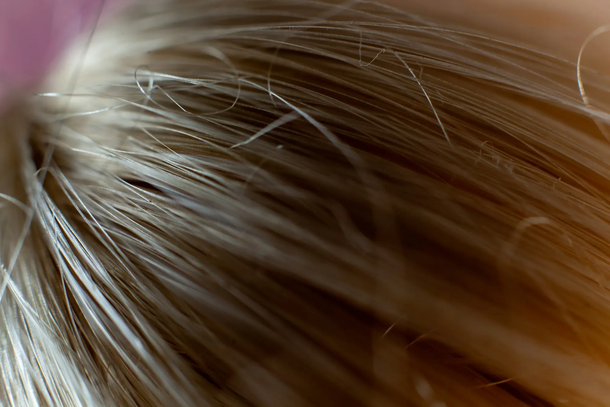 Gros plan macro sur des cheveux fins châtain clair, avec l'épi du sommet du crâne en arrière-plan flou.